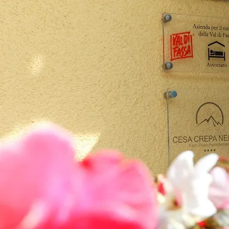 アパート Cesa Crepa Neigra カナツェーイ