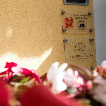 Cesa Crepa Neigra * カナツェーイ