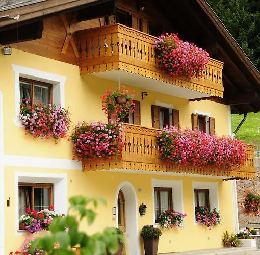 Apartment Cesa Crepa Neigra