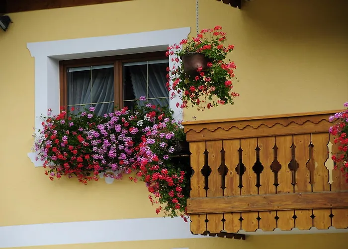 Cesa Crepa Neigra * 卡纳泽伊